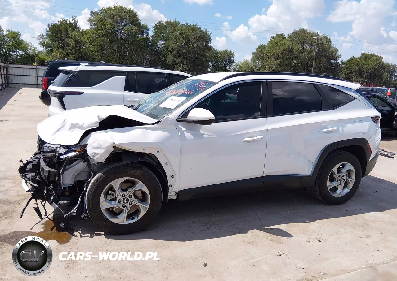 2024 Hyundai Tucson Sel VIN:5NMJBCDE2RH381594 - 15