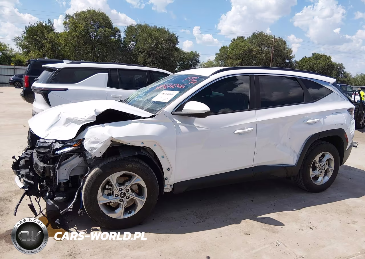 2024 Hyundai Tucson Sel VIN:5NMJBCDE2RH381594 - 6
