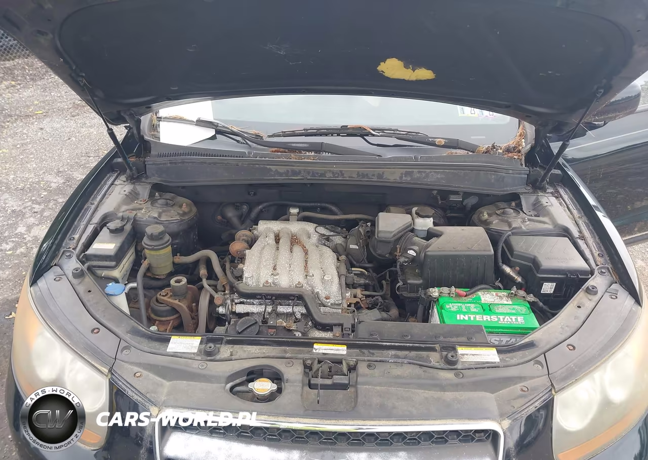 2007 Hyundai Santa Fe Gls VIN:KM8SG13D87U098895 - 10