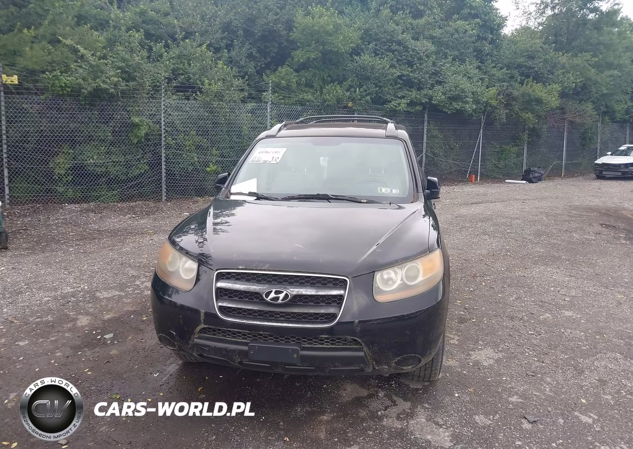 2007 Hyundai Santa Fe Gls VIN:KM8SG13D87U098895 - 6