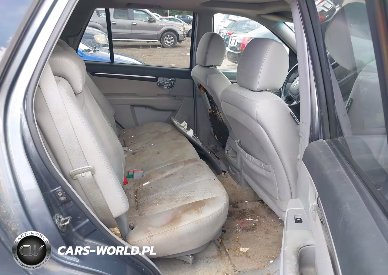 2007 Hyundai Santa Fe Gls VIN:5NMSG13D67H064028 - 8
