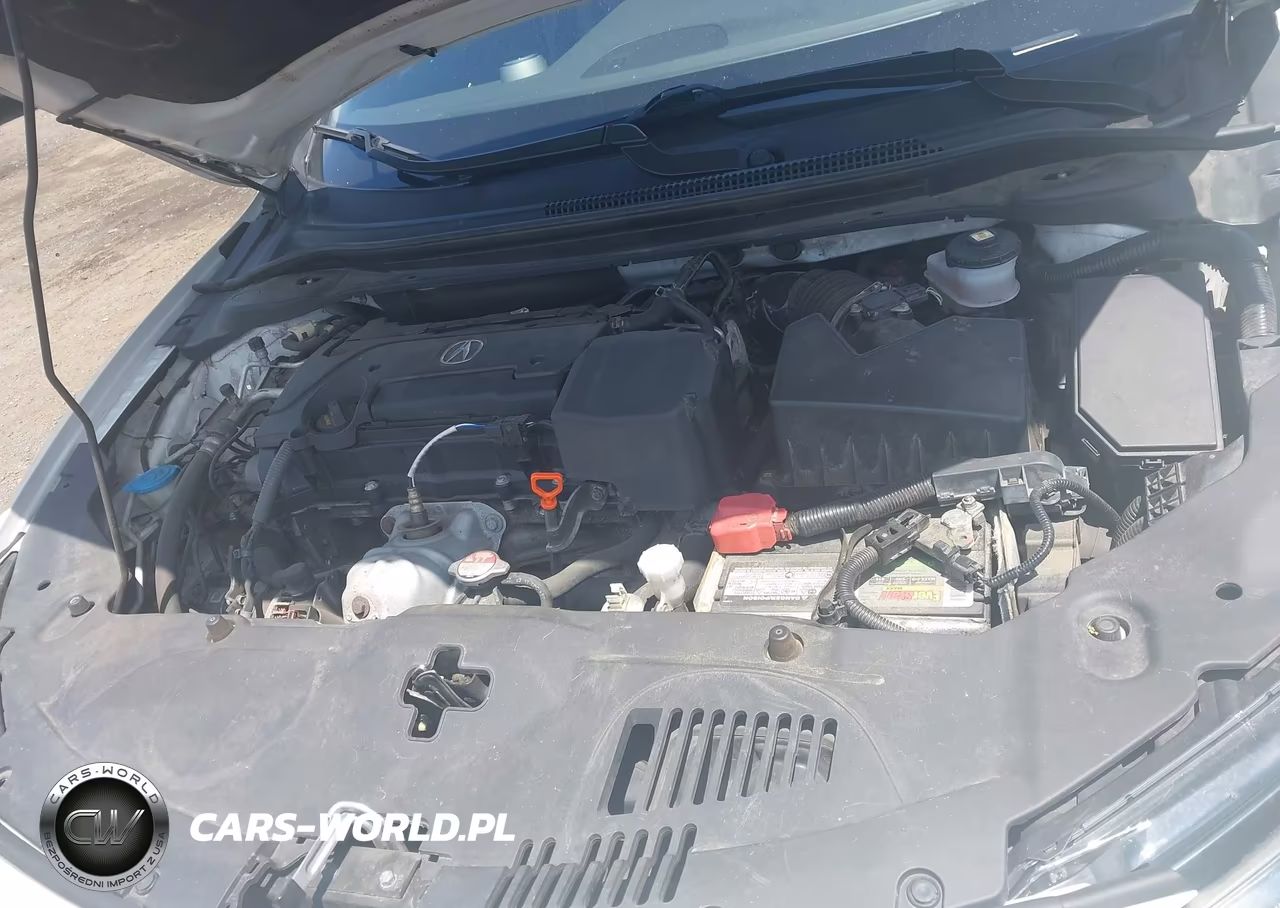 2019 Acura Ilx Premium A-Spec Packages-Technology A-Spec Packages VIN:19UDE2F8XKA004325 - 10