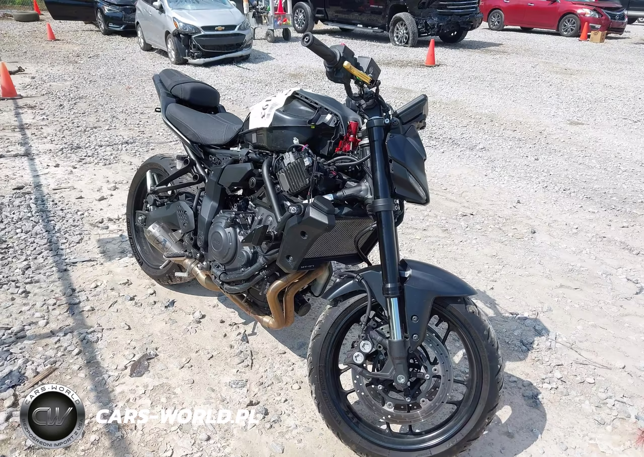 2025 Yamaha Mtn690
