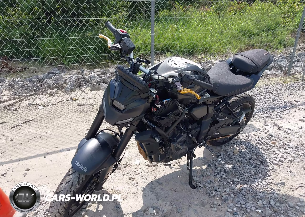 2025 Yamaha Mtn690 VIN:JYARM48E5SA001883 - 2