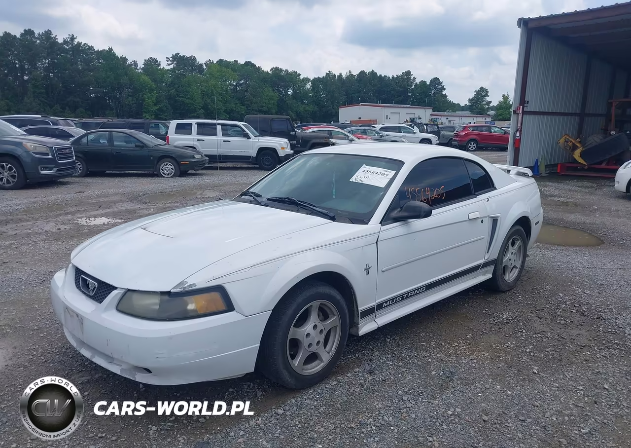 2003 Ford Mustang VIN:1FAFP40483F362469 - 2