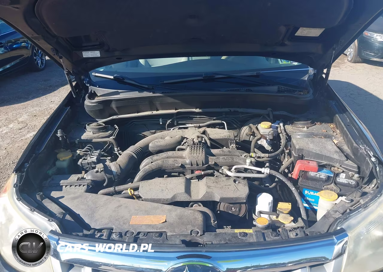 2013 Subaru Forester 2.5X VIN:JF2SHABC7DH438201 - 10