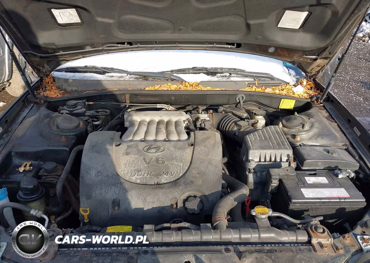 2004 Hyundai Sonata Gls-Lx VIN:KMHWF35H34A926428 - 10
