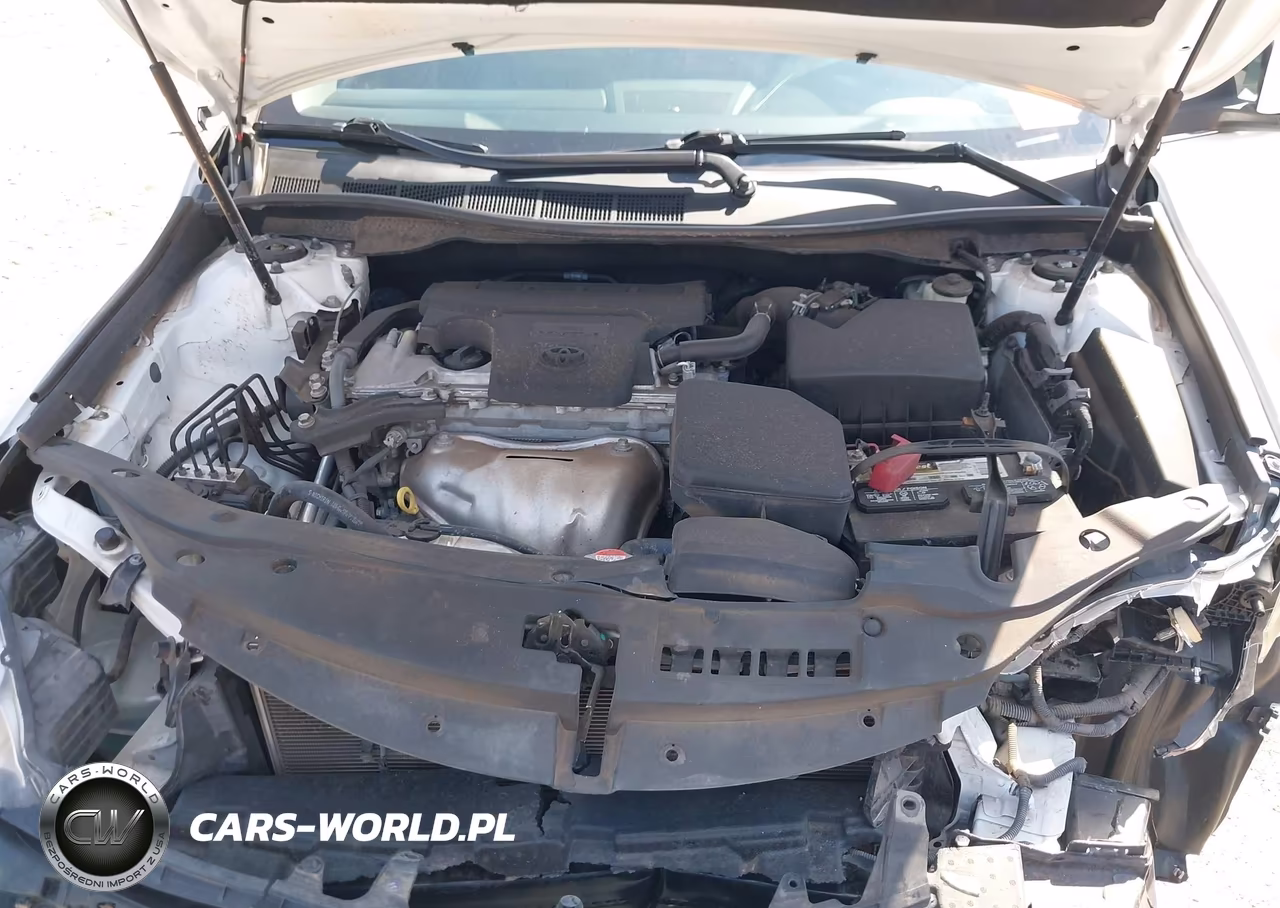 2016 Toyota Camry Le VIN:4T1BF1FK5GU208525 - 10