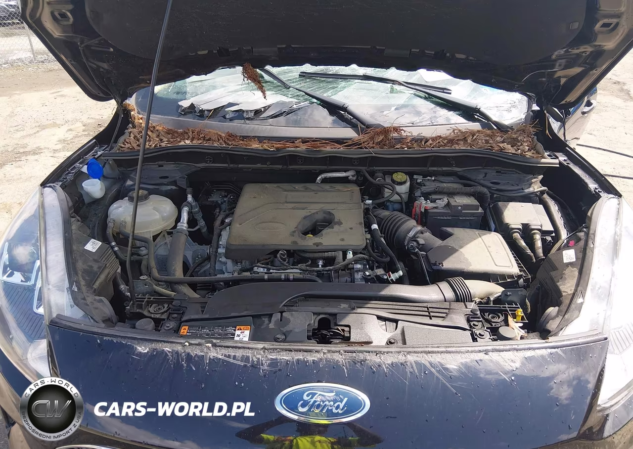 2020 Ford Escape Se VIN:1FMCU0G64LUA52770 - 10