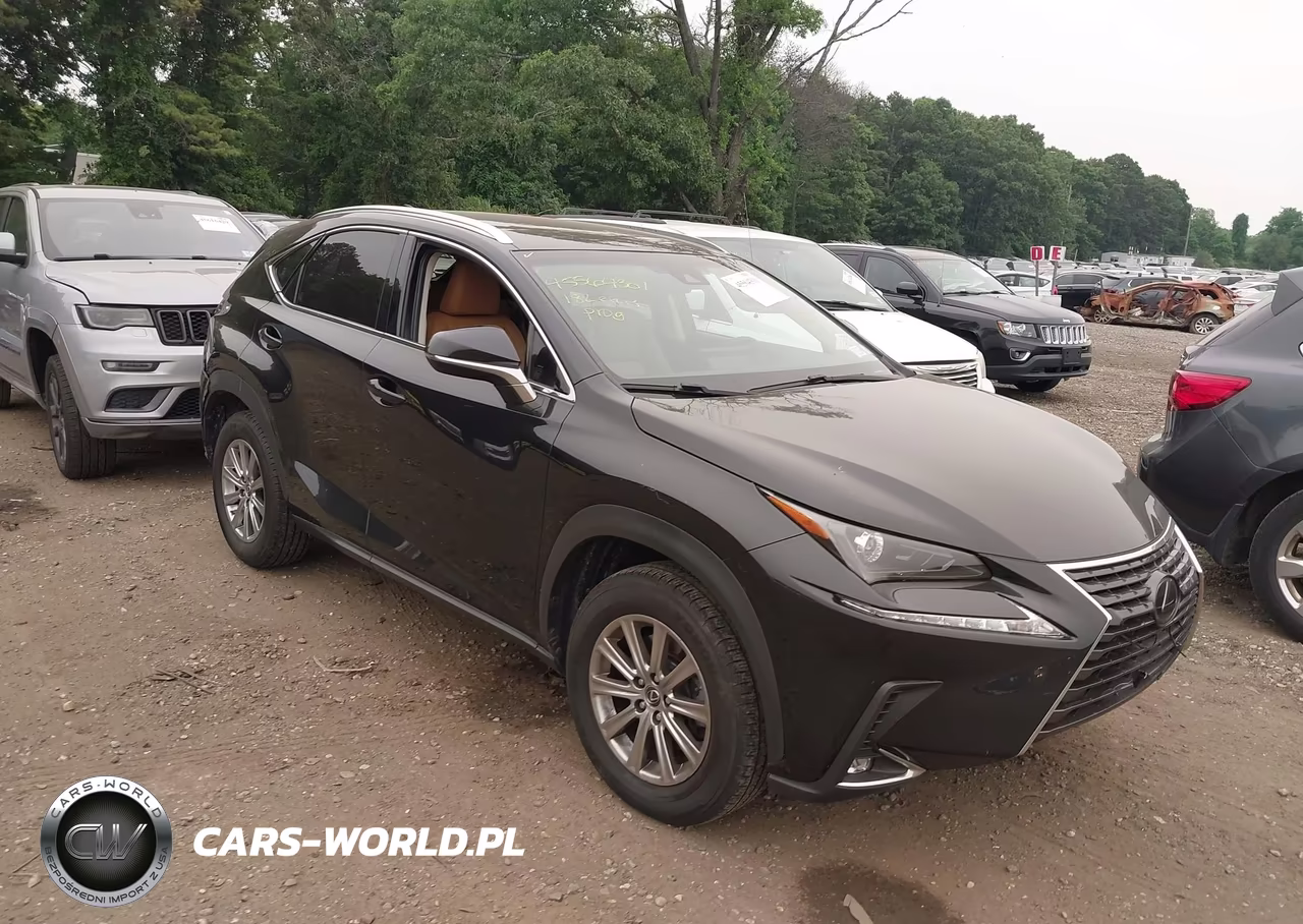 2018 Lexus Nx 300 – zdjęcie 1 z 17