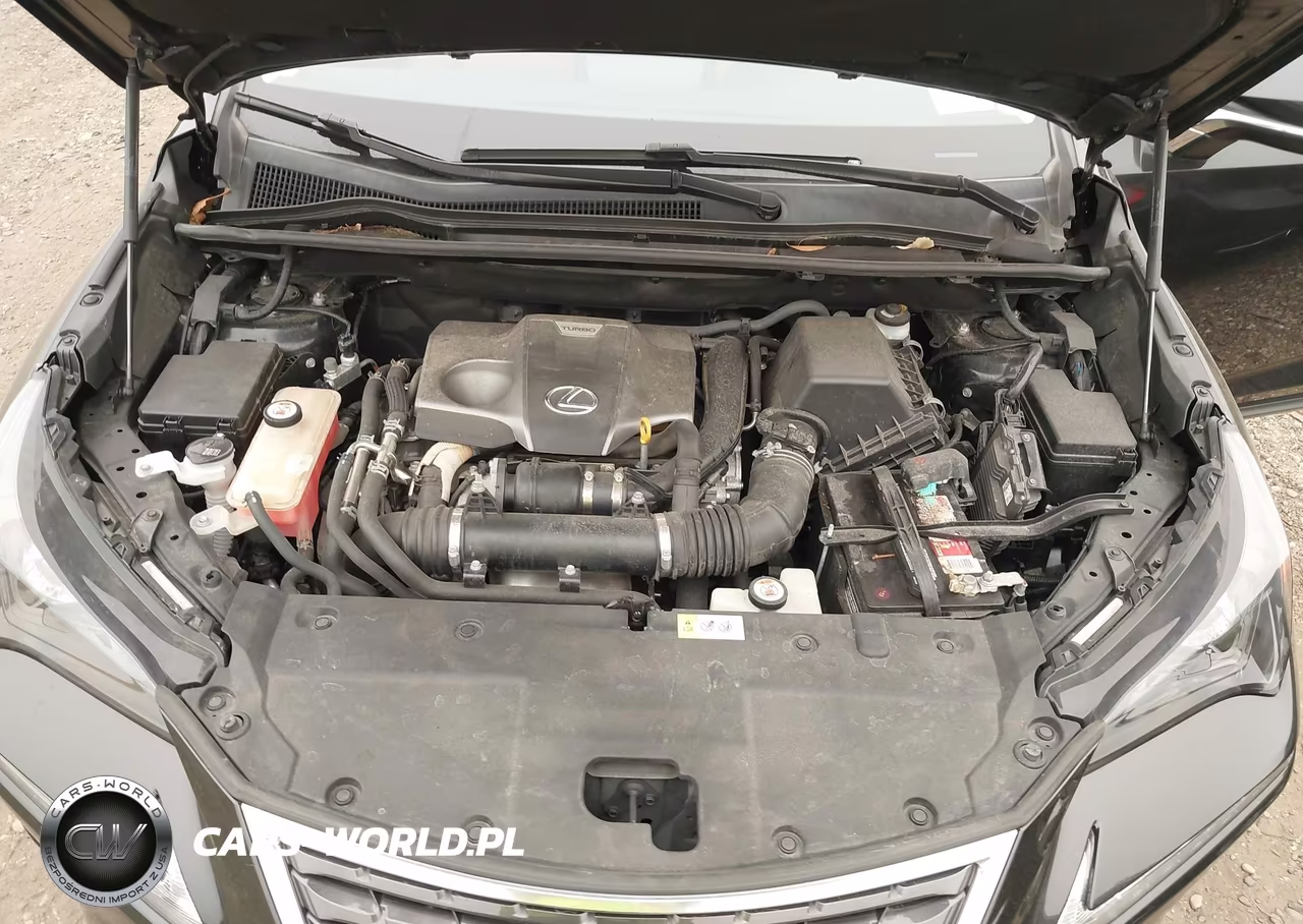 2018 Lexus Nx 300 VIN:JTJYARBZ0J2111487 - 10