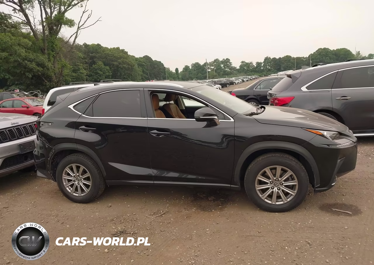 2018 Lexus Nx 300 VIN:JTJYARBZ0J2111487 - 13