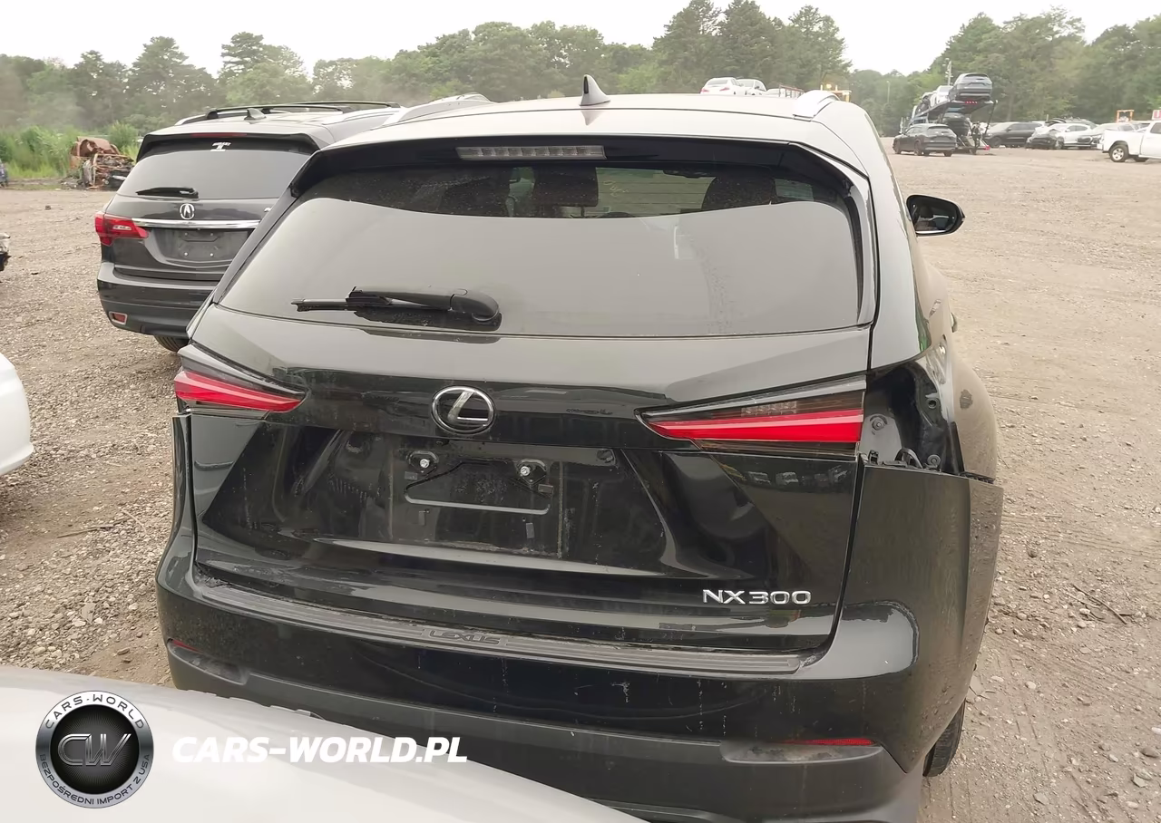 2018 Lexus Nx 300 VIN:JTJYARBZ0J2111487 - 16