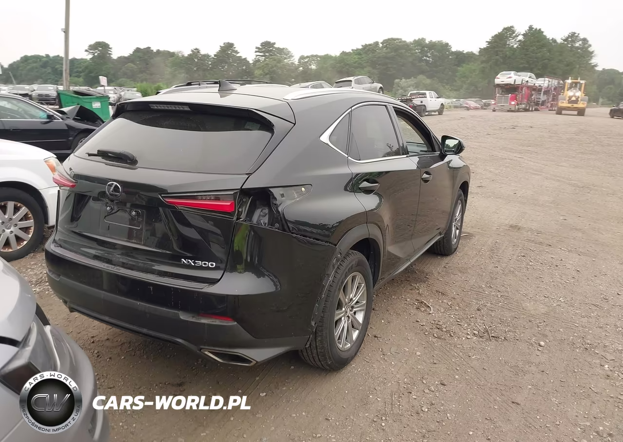 2018 Lexus Nx 300 VIN:JTJYARBZ0J2111487 - 4