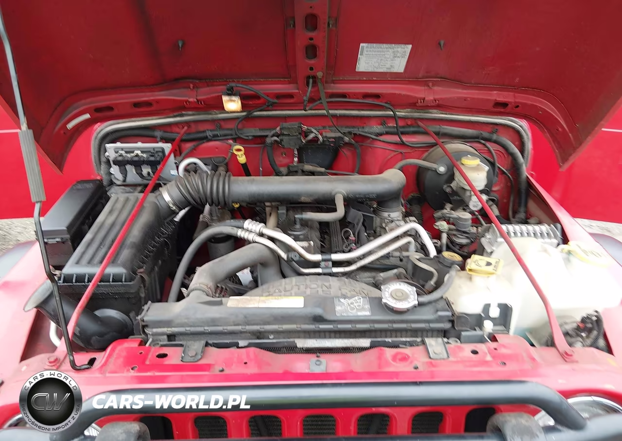 2004 Jeep Wrangler Rubicon VIN:1J4FA69SX4P720296 - 10