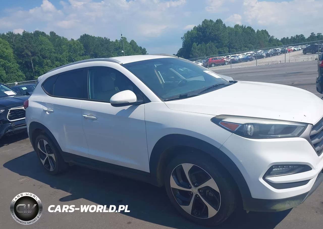 2016 Hyundai Tucson Sport VIN:KM8J33A20GU045273 - 13