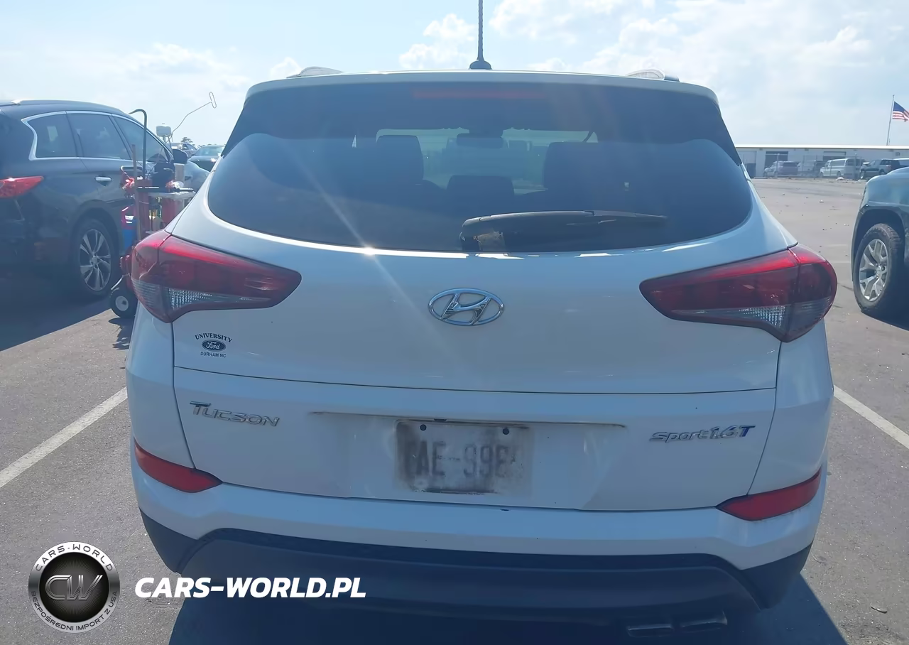 2016 Hyundai Tucson Sport VIN:KM8J33A20GU045273 - 16
