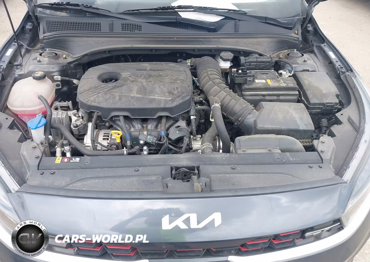2023 Kia Forte Gt Manual VIN:3KPF44AC7PE525606 - 10