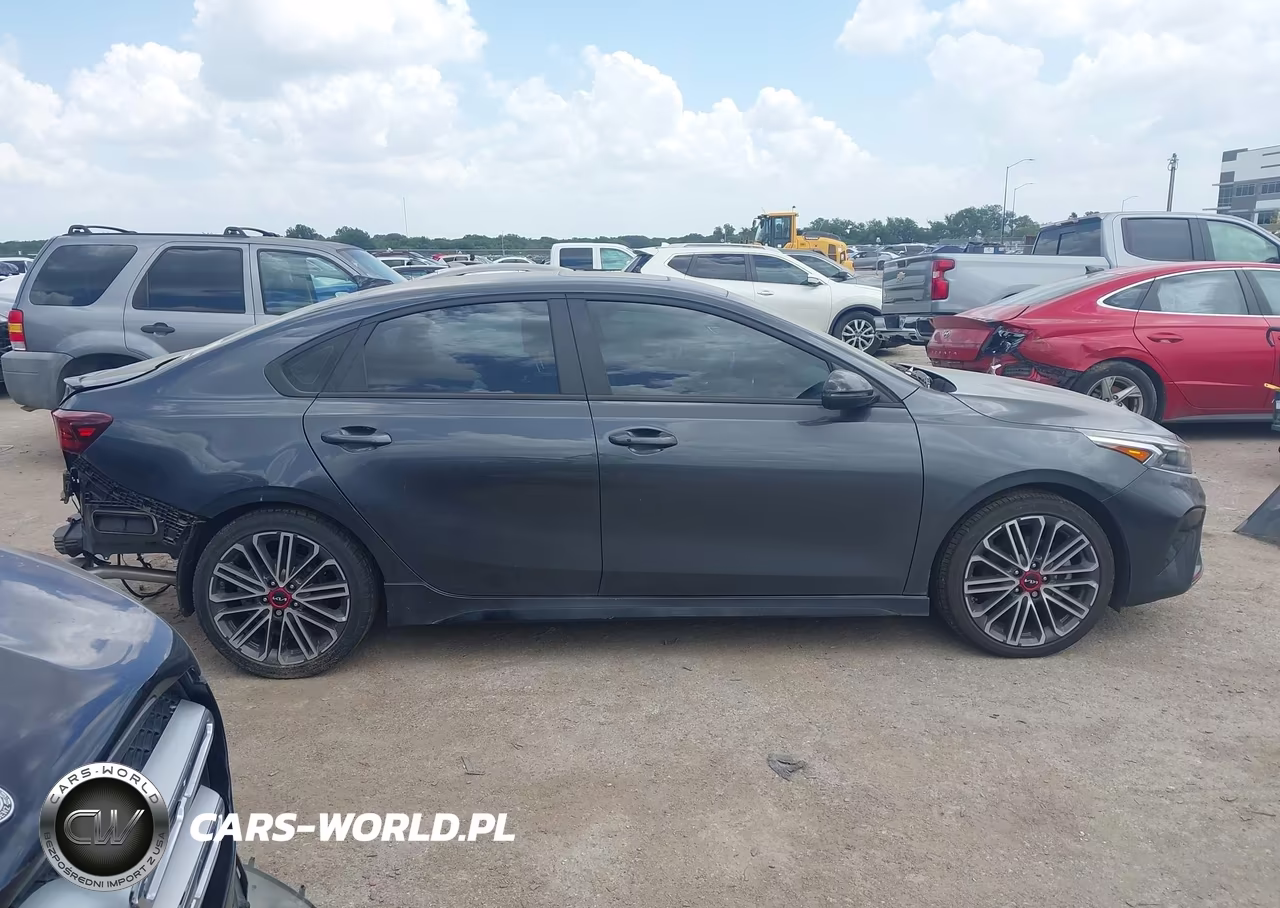 2023 Kia Forte Gt Manual VIN:3KPF44AC7PE525606 - 13
