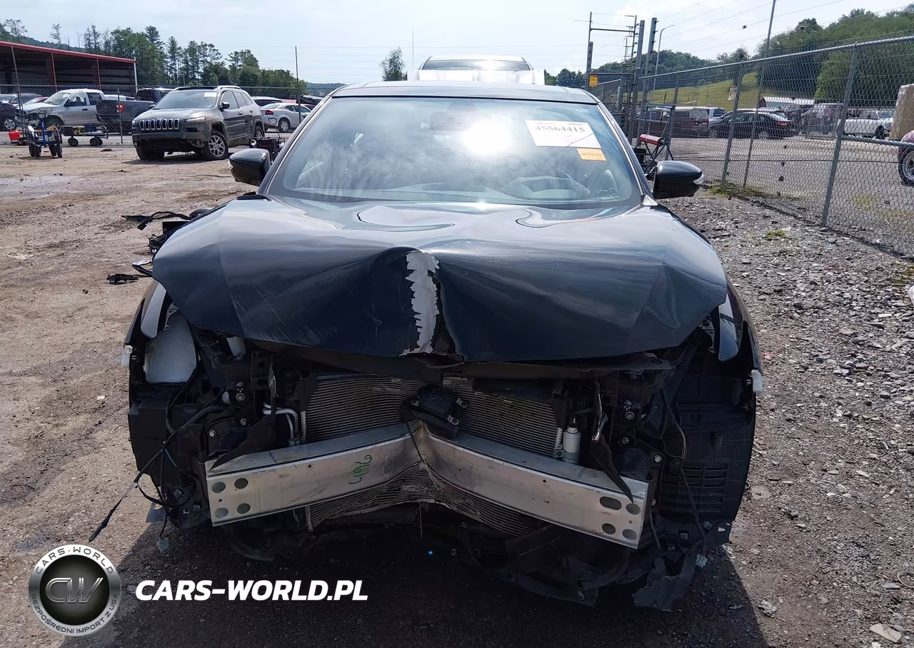 2023 Nissan Maxima Sr Xtronic Cvt VIN:1N4AA6EV1PC503897 - 13