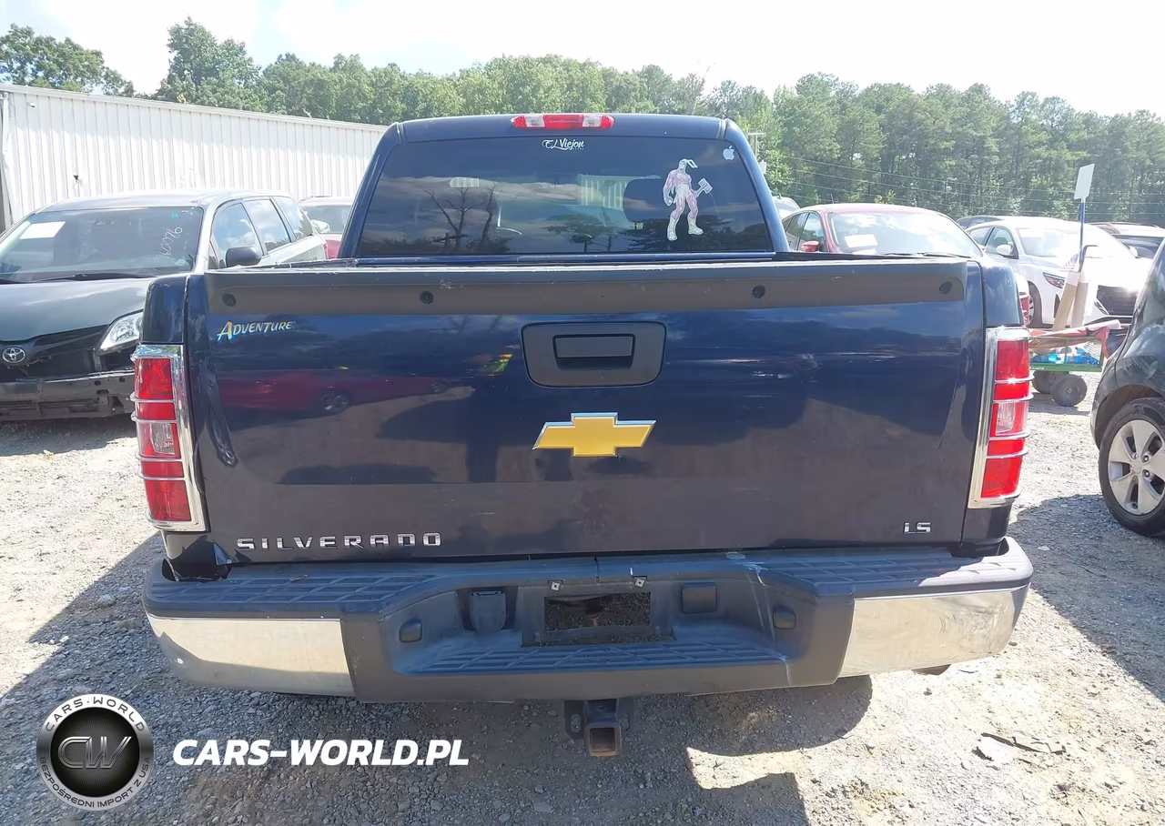 2012 Chevrolet Silverado 1500 Ls VIN:3GCPKREA3CG218531 - 16