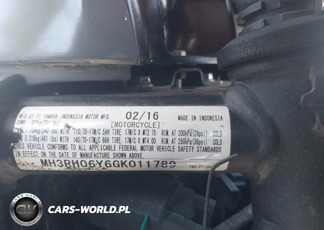 2016 Yamaha Yzfr3 VIN:MH3RH06Y6GK011789 - 10