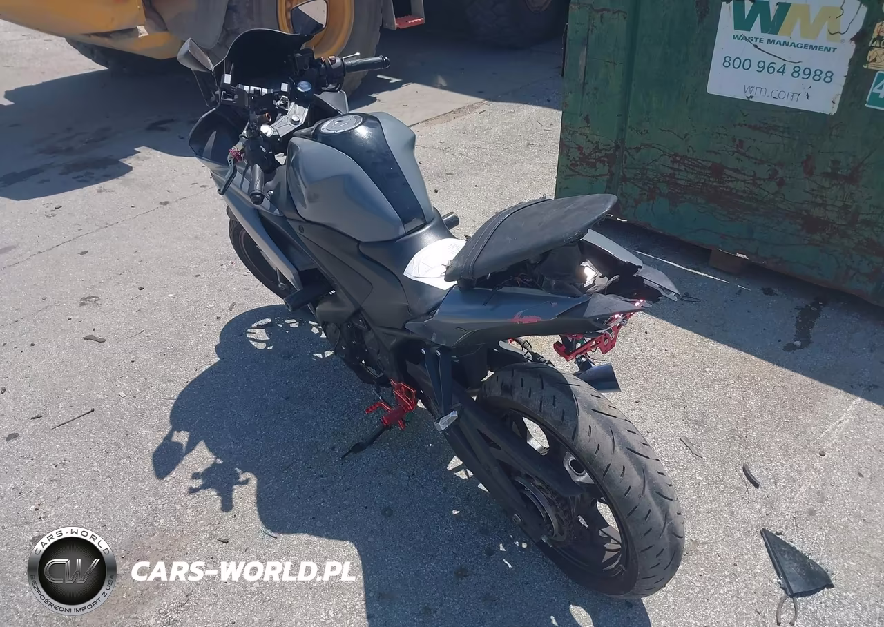 2016 Yamaha Yzfr3 VIN:MH3RH06Y6GK011789 - 3