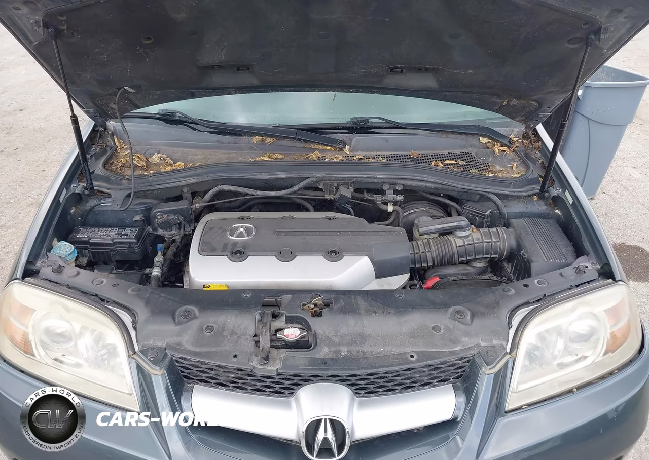 2006 Acura Mdx VIN:2HNYD18606H507758 - 10