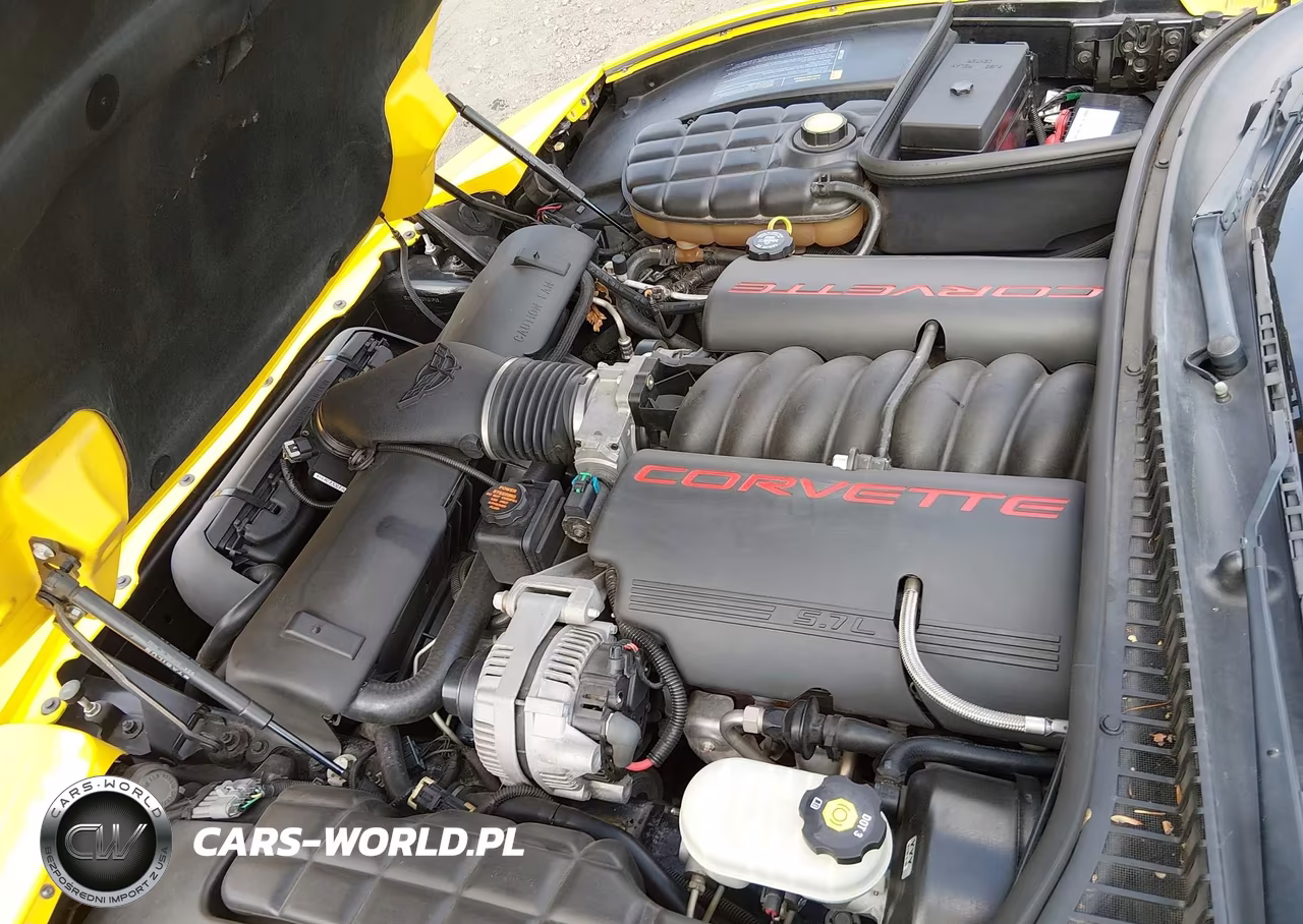 2002 Chevrolet Corvette VIN:1G1YY32G225121926 - 10