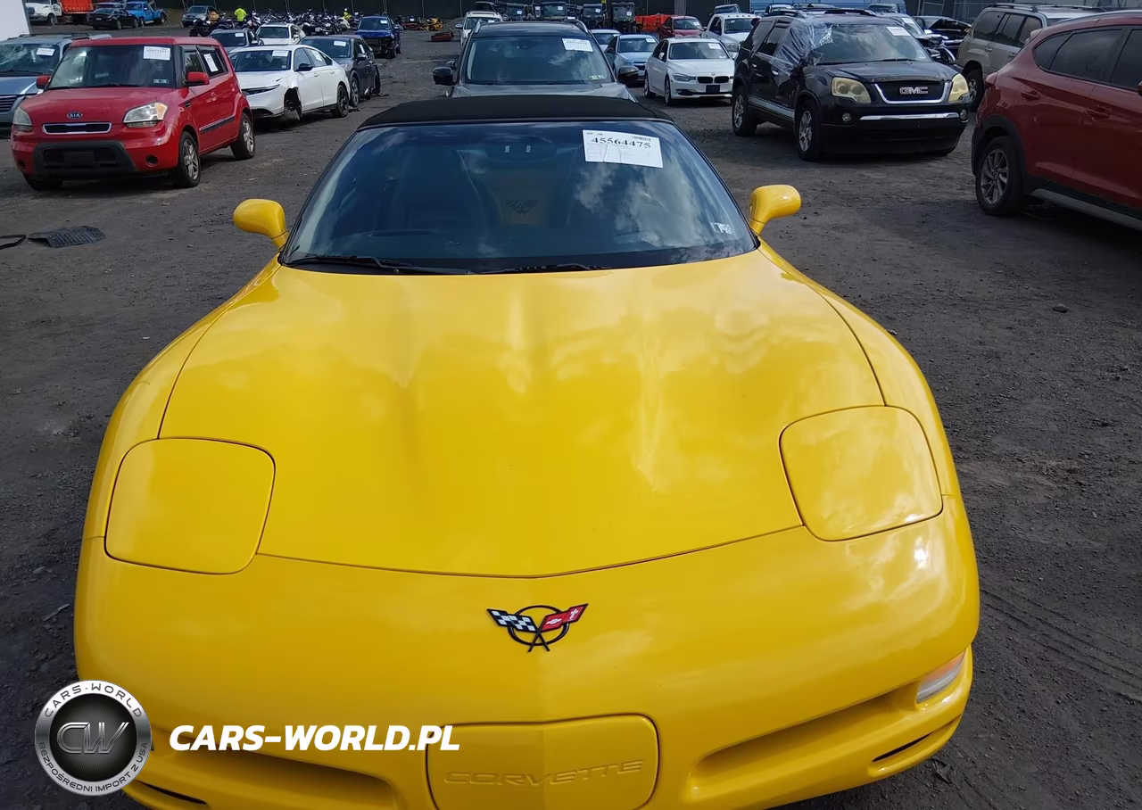 2002 Chevrolet Corvette VIN:1G1YY32G225121926 - 12