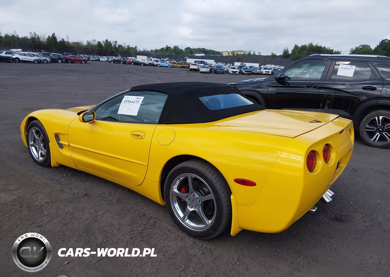 2002 Chevrolet Corvette VIN:1G1YY32G225121926 - 3