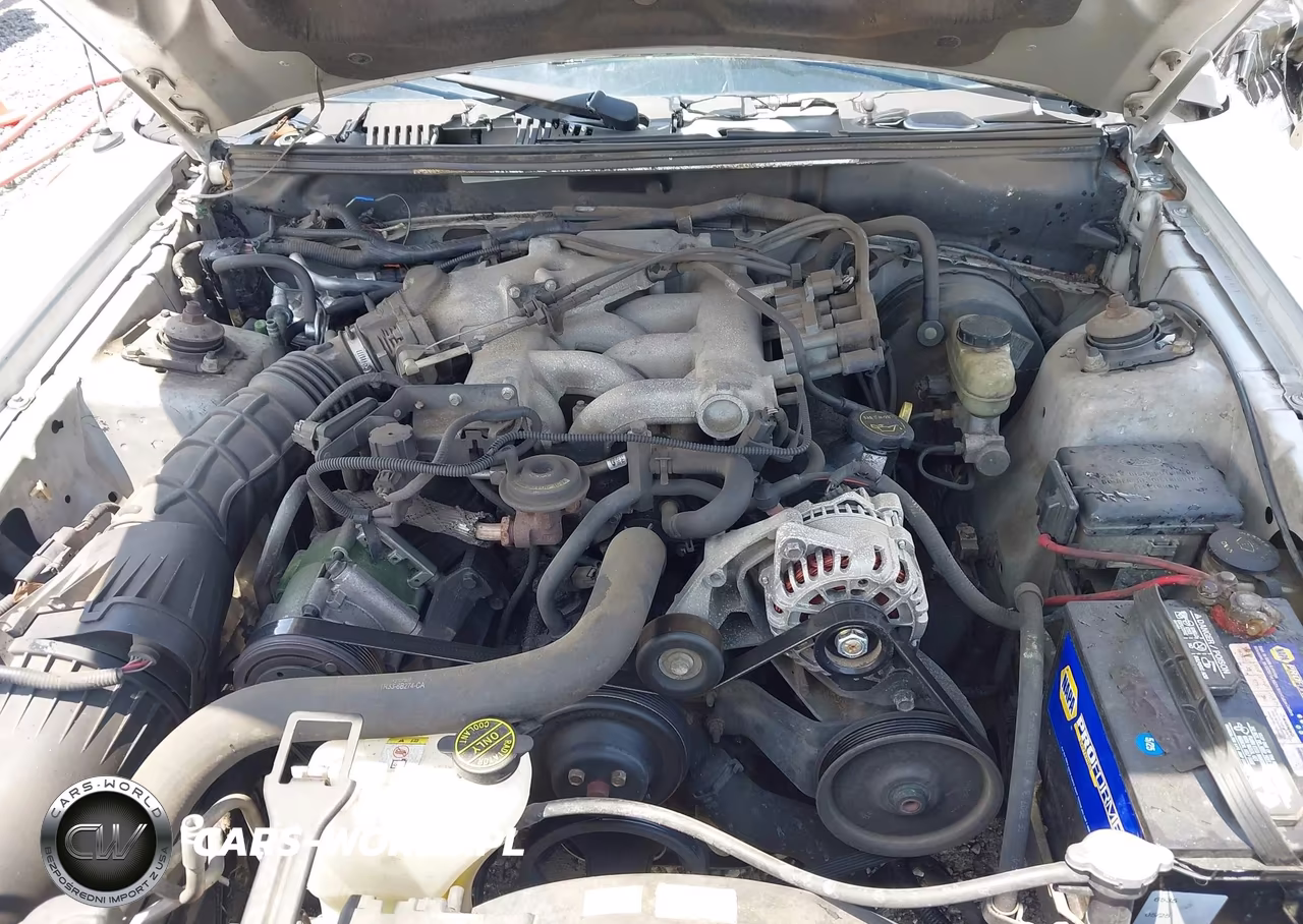 2003 Ford Mustang VIN:1FAFP40483F306175 - 10