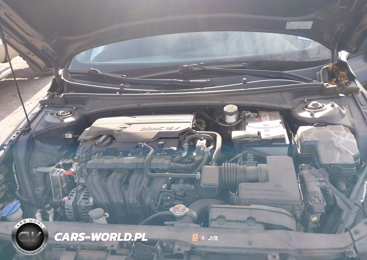 2021 Hyundai Elantra Sel VIN:5NPLM4AG5MH007684 - 10
