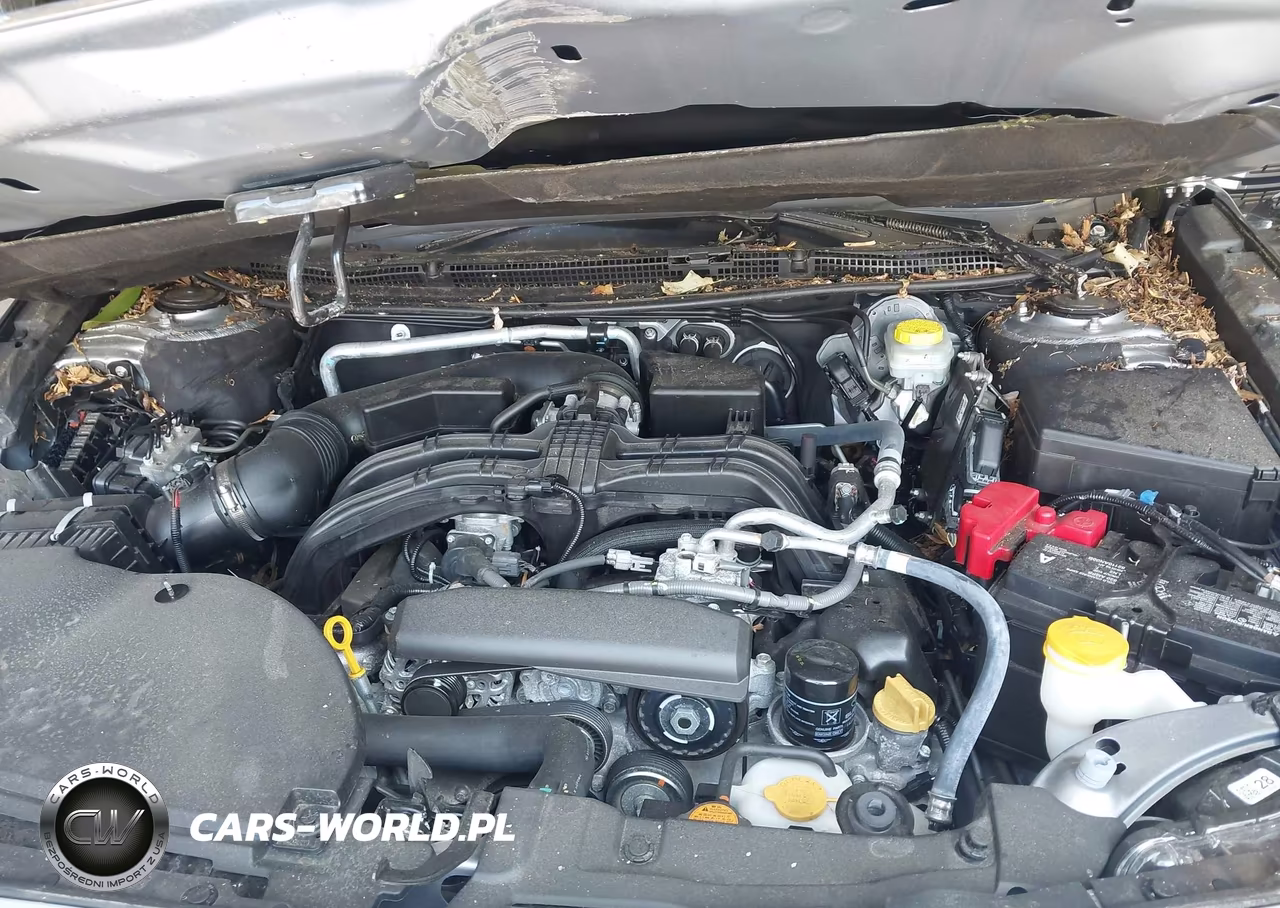 2024 Subaru Outback Premium VIN:4S4BTAFC0R3217725 - 10