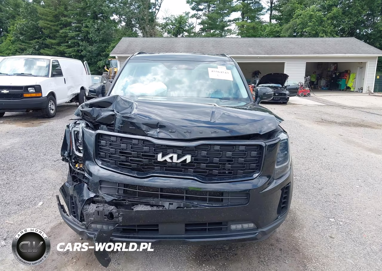 2022 Kia Telluride Sx VIN:5XYP5DHC0NG226031 - 12