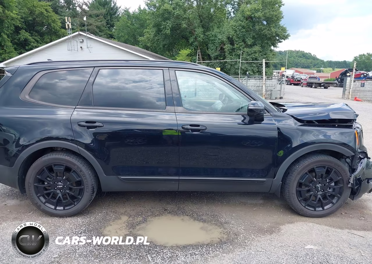2022 Kia Telluride Sx VIN:5XYP5DHC0NG226031 - 13