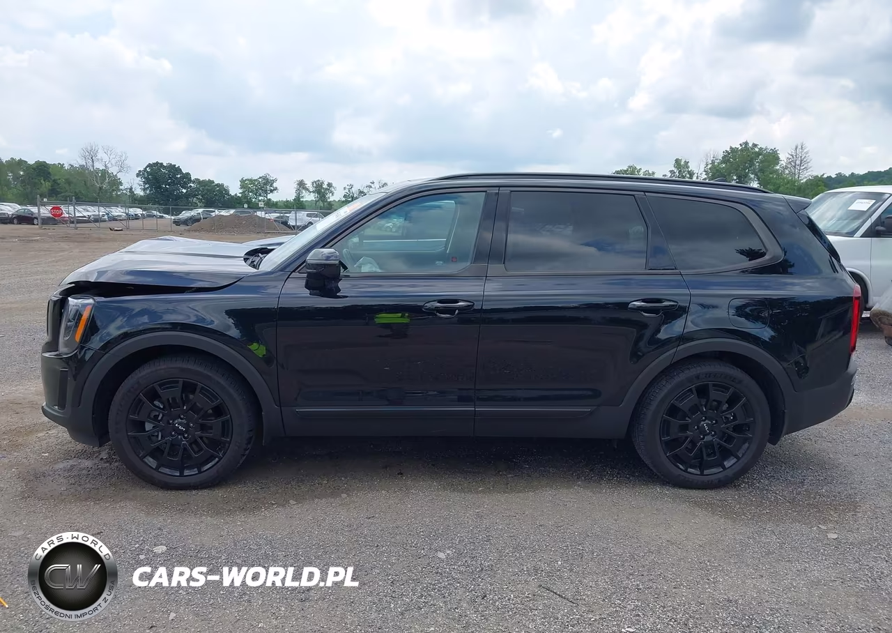 2022 Kia Telluride Sx VIN:5XYP5DHC0NG226031 - 14