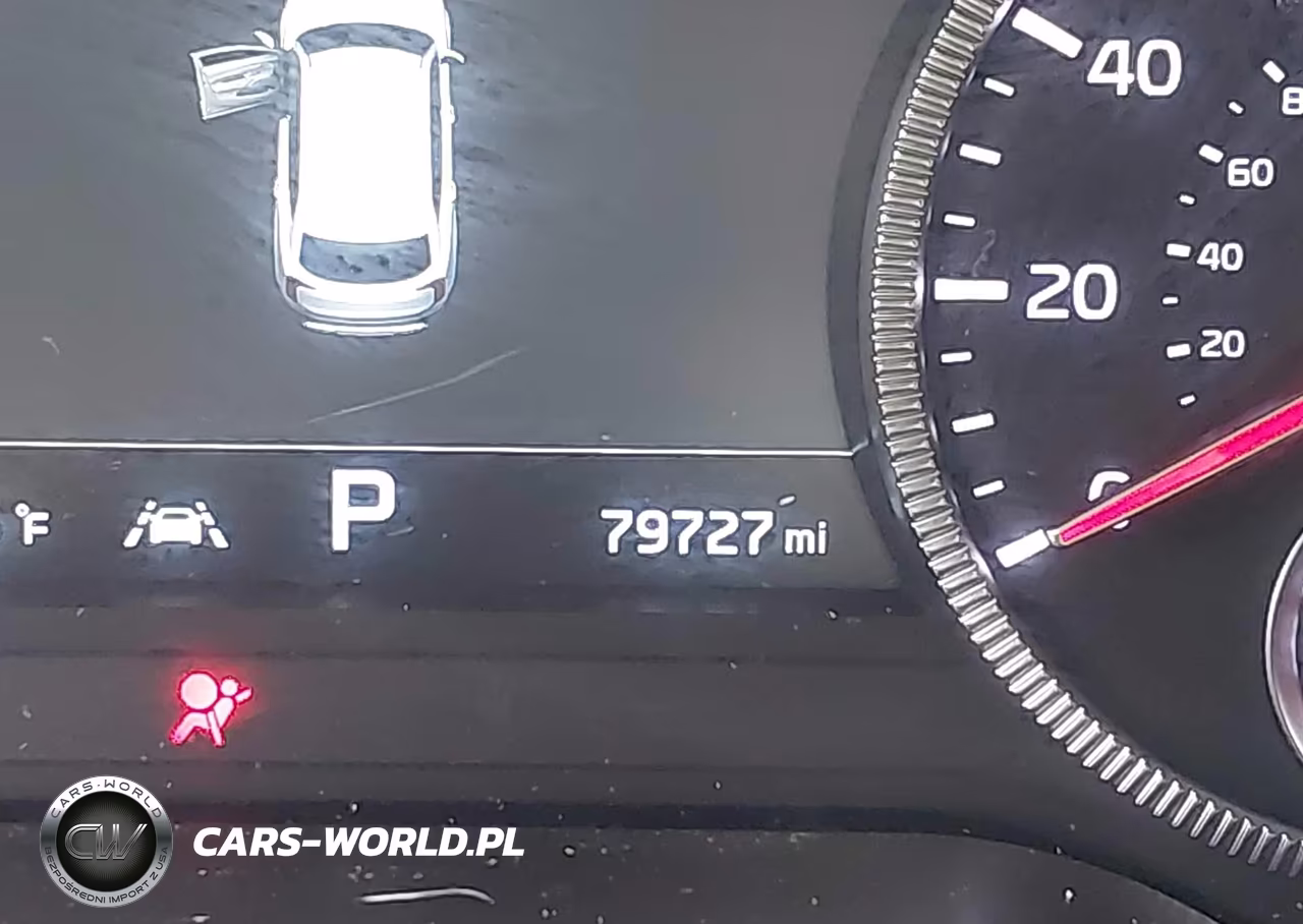 2022 Kia Telluride Sx VIN:5XYP5DHC0NG226031 - 15
