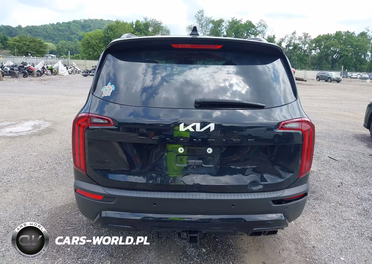 2022 Kia Telluride Sx VIN:5XYP5DHC0NG226031 - 16