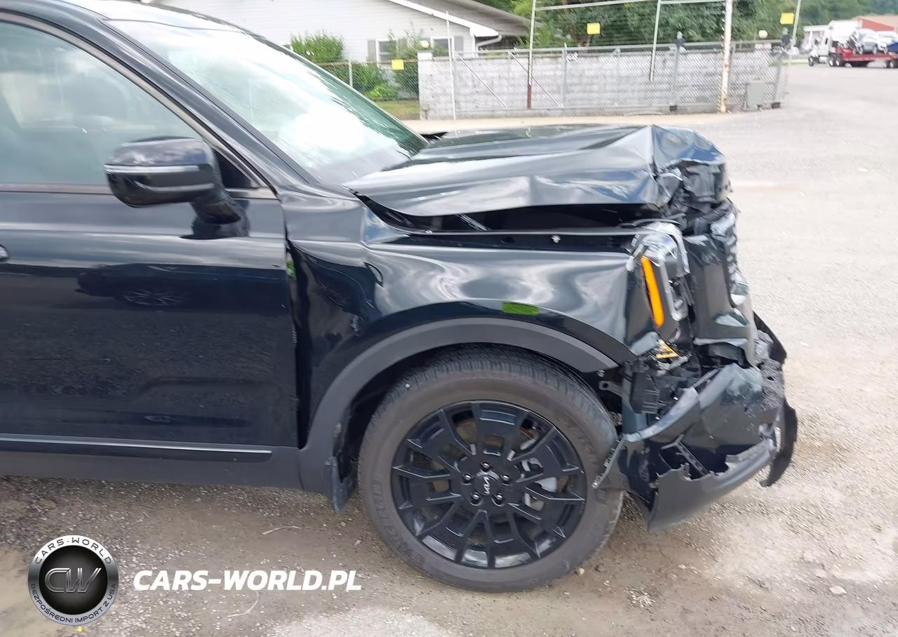 2022 Kia Telluride Sx VIN:5XYP5DHC0NG226031 - 17