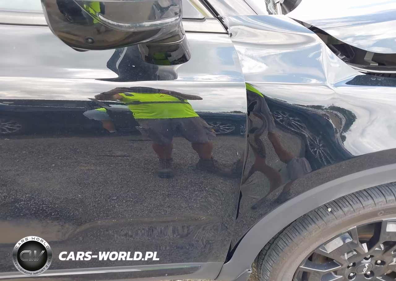 2022 Kia Telluride Sx VIN:5XYP5DHC0NG226031 - 18