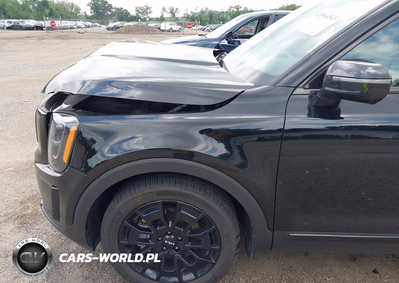 2022 Kia Telluride Sx VIN:5XYP5DHC0NG226031 - 19