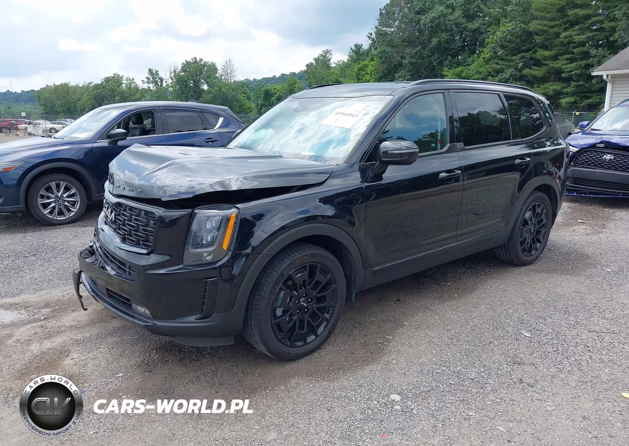 2022 Kia Telluride Sx VIN:5XYP5DHC0NG226031 - 2