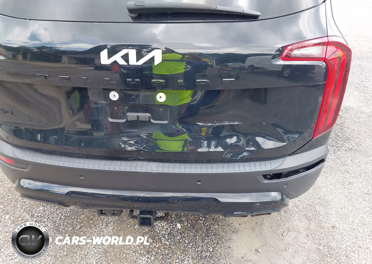 2022 Kia Telluride Sx VIN:5XYP5DHC0NG226031 - 20