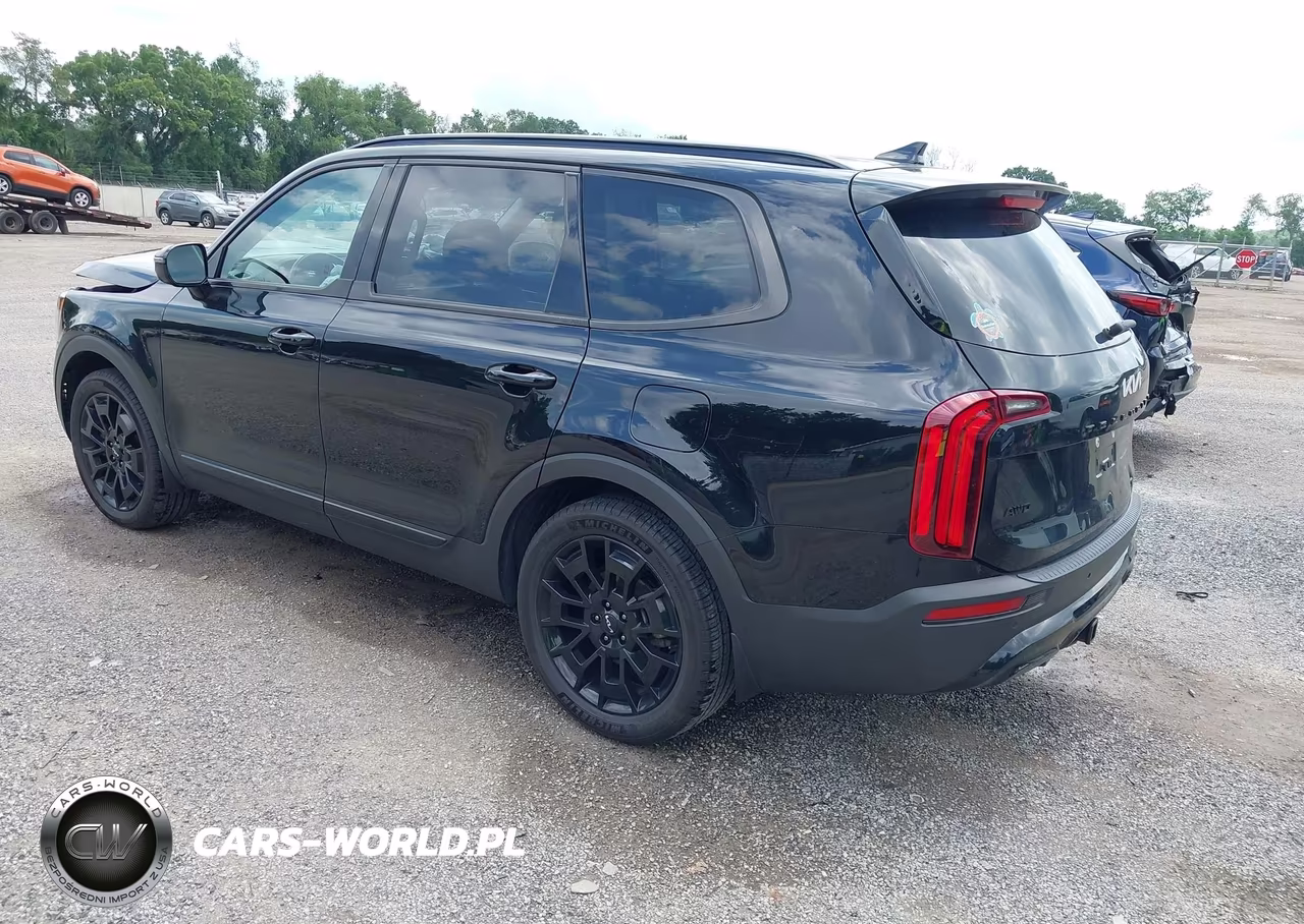 2022 Kia Telluride Sx VIN:5XYP5DHC0NG226031 - 3