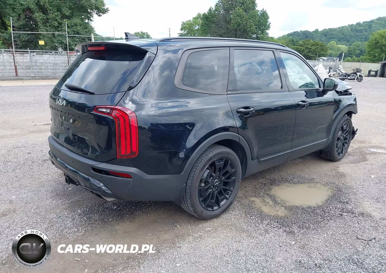 2022 Kia Telluride Sx VIN:5XYP5DHC0NG226031 - 4