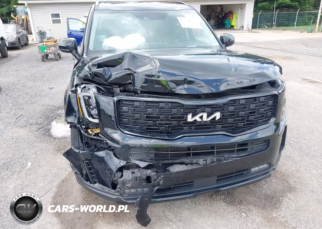2022 Kia Telluride Sx VIN:5XYP5DHC0NG226031 - 6