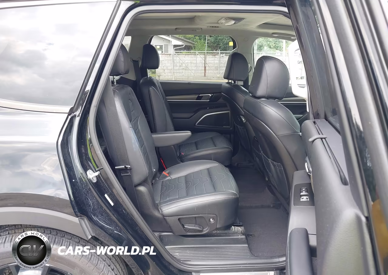2022 Kia Telluride Sx VIN:5XYP5DHC0NG226031 - 8
