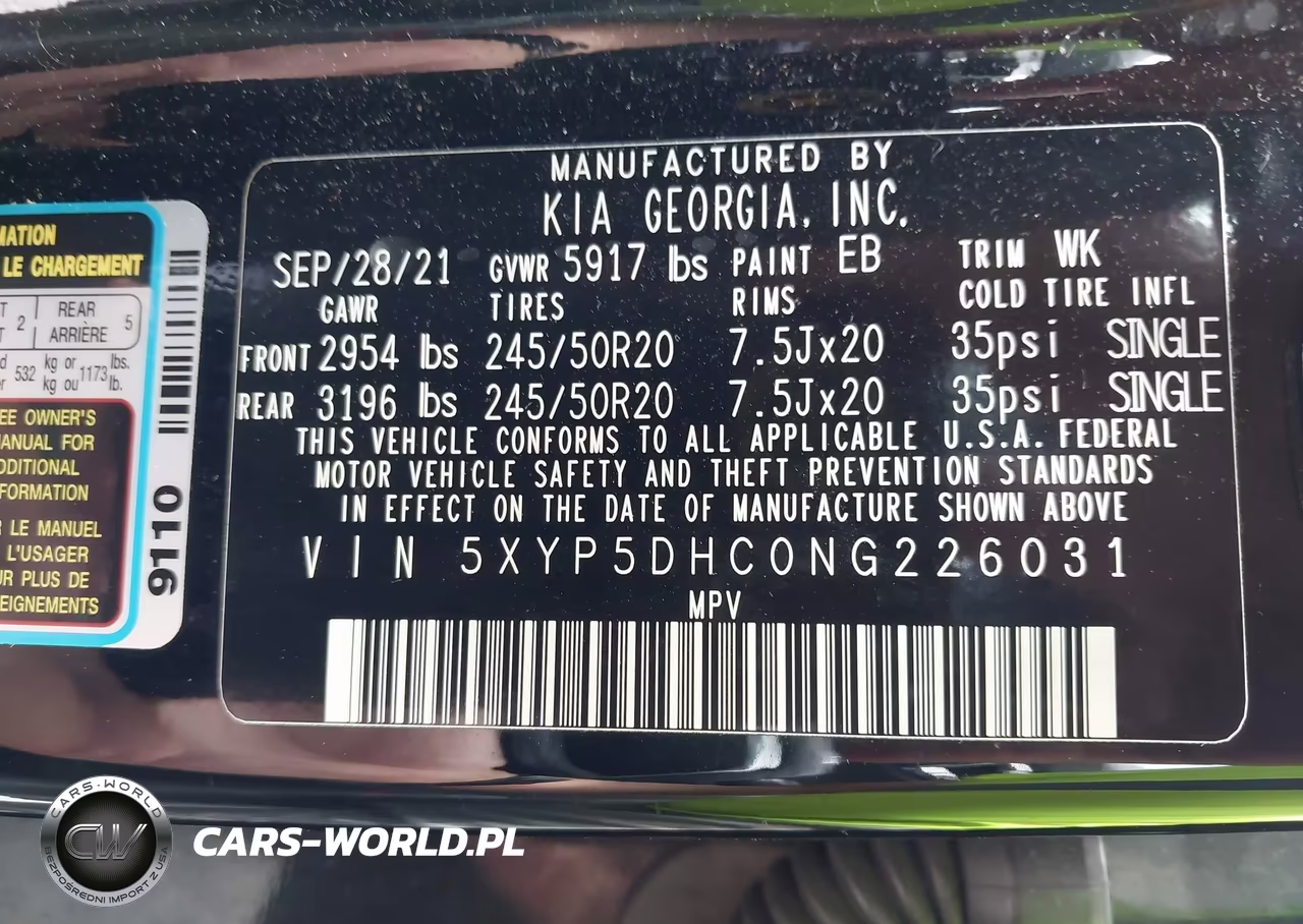 2022 Kia Telluride Sx VIN:5XYP5DHC0NG226031 - 9