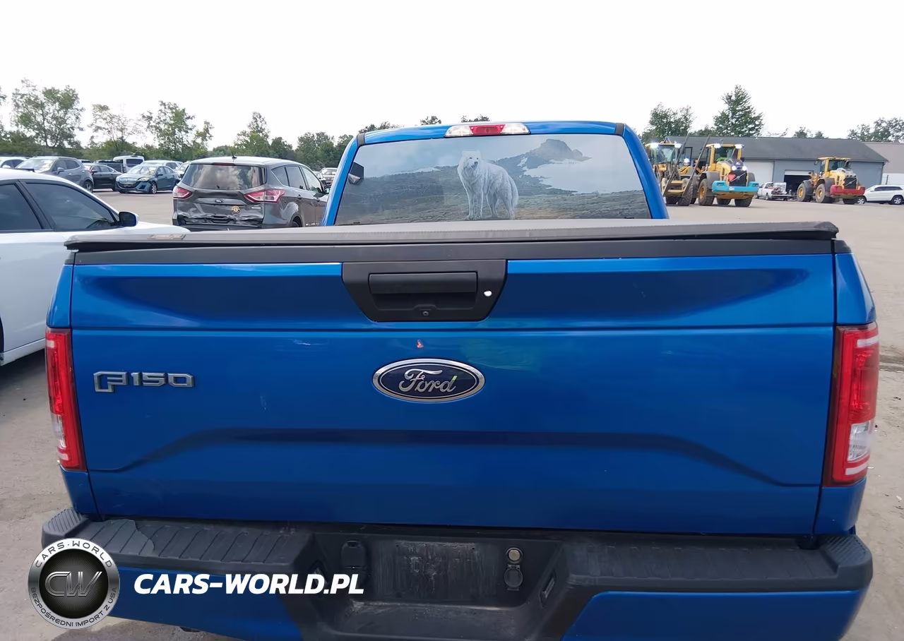 2016 Ford F-150 Lariat-Xl-Xlt VIN:1FTEX1CP9GKF41272 - 16